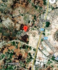 Vị trí lô đất trồng cây lâu năm xã Thành Hải