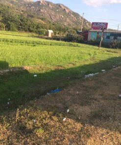 Cần bán đất nông nghiệp huyện thuận bắc