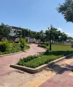 đất nền phan rang