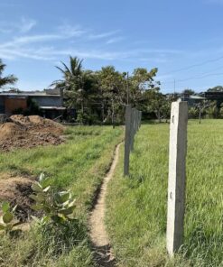 bán đất nông nghiệp ninh thuận