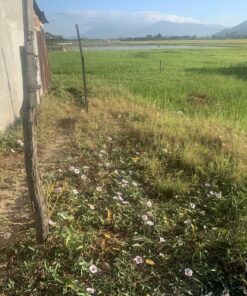 bán đất nông nghiệp ninh thuận