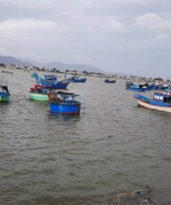 bán đất mặt tiền kè Phú Thọ view cửa biển