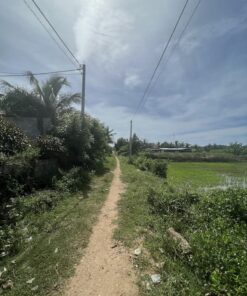 bán đất nông nghiệp ninh thuận