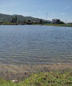 đất biển Vĩnh Hy