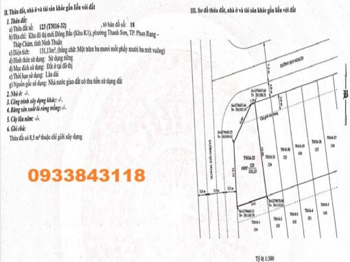 401m2 đất nền k1 lô góc 2 mặt tiền ngay chung cư Hacom - Ảnh 6