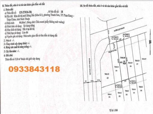 401m2 đất nền k1 lô góc 2 mặt tiền ngay chung cư Hacom - Ảnh 7