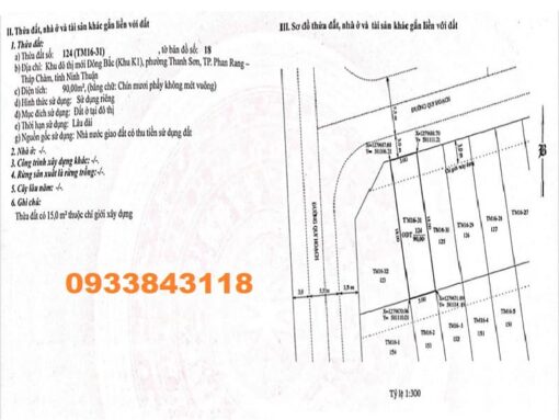 401m2 đất nền k1 lô góc 2 mặt tiền ngay chung cư Hacom - Ảnh 8