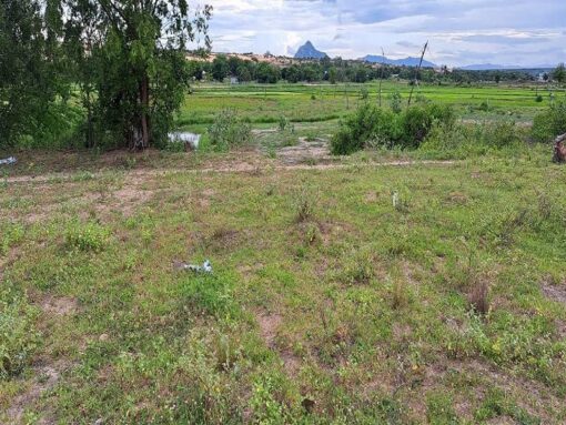 Bán 8 sào đất Hoà Thuỷ Ninh Phước giá 250tr/1 sào - Ảnh 4