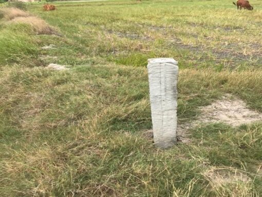 Bán 8 sào đất Hoà Thuỷ Ninh Phước giá 250tr/1 sào - Ảnh 7