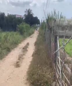 bán đất nông nghiệp ninh thuận giá rẻ