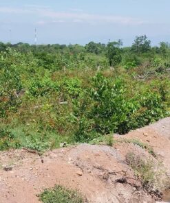 bán đất trang trại huyện Bác Ái tỉnh Ninh Thuận