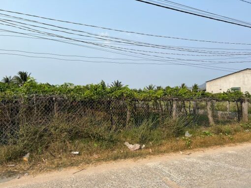 Cần bán 300m2 mặt tiền đường Su Hào phường Văn Hải - Ảnh 3
