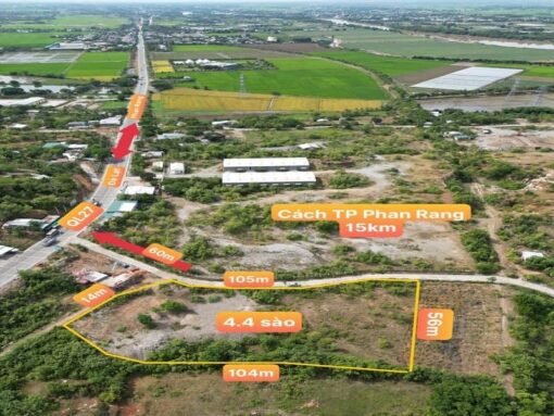 Cần bán 4,5 sào HNK ngay đèo Cậu giá chỉ 350tr/1 sào - Ảnh 2