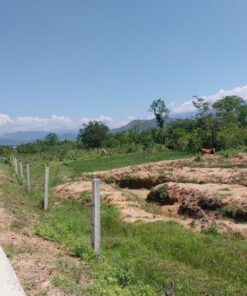 bán đất trang trại huyện Bác Ái tỉnh Ninh Thuận