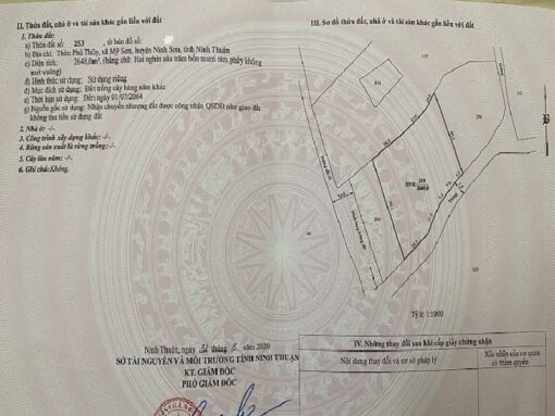 Cần bán 4,5 sào HNK ngay đèo Cậu giá chỉ 350tr/1 sào - Ảnh 6