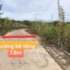 đất nông nghiệp ninh thuận cần bán