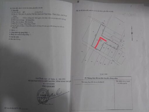 Cần bán 300m2 mặt tiền đường Su Hào phường Văn Hải - Ảnh 8