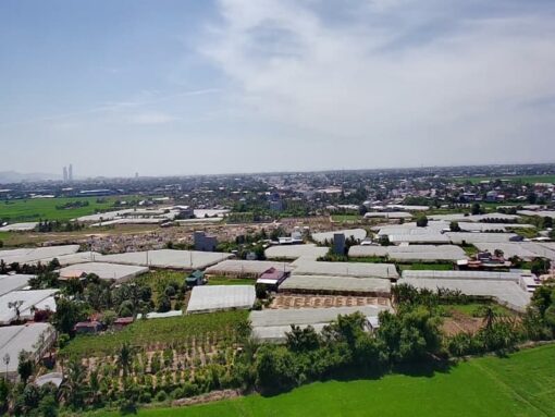 Cần bán 6 sào đất nhà vườn Bình Quý khu nuôi yến - Ảnh 9