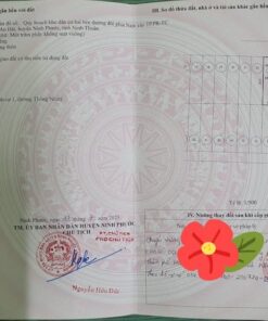 bán đất mặt tiền đường đôi thông nhất long bình 1