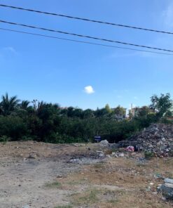 bất động sản Ninh Thuận