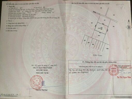 Cần bán nhà vườn rộng 2215m2 phường Mỹ Hải chỉ 3,8 tỷ - Ảnh 5