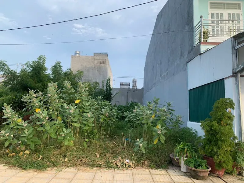 BÁN GẤP LÔ ĐẤT 100M² ODT KHU TĐC MỸ ĐÔNG VỊ TRÍ GIAO THOA PHAN RANG & KHÁNH HÒA - Ảnh 3