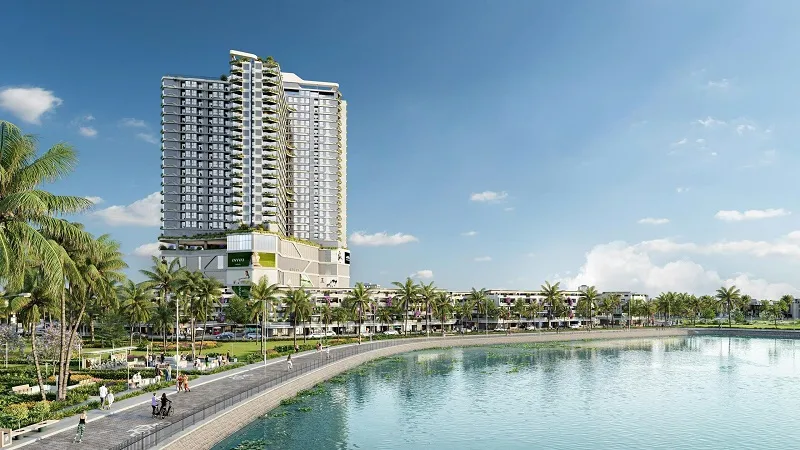 Chuyện về người đi tìm Gió giữa lòng đô thị biển