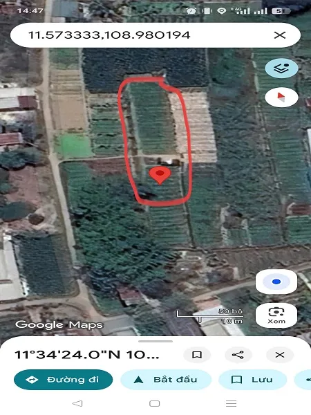 Cần sang lại 517m2 đất HNK khu 7 Quẹo phường Bảo An chỉ 490tr - Ảnh 7