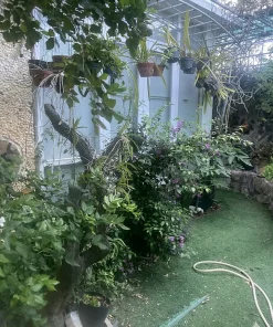 Có 3 Tỷ trong tay tìm đâu ra 300M² đất mặt tiền Phan Đăng Lưu có sẵn nhà đẹp