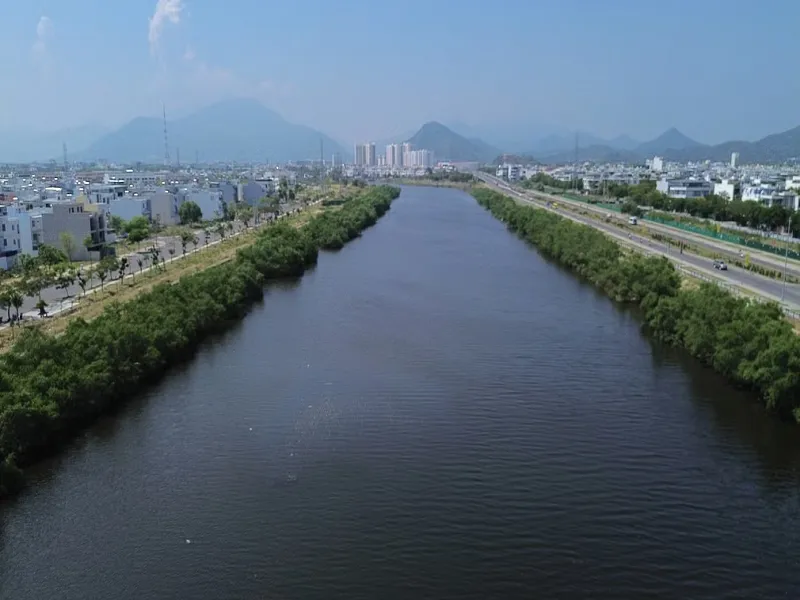 Nên chặt hay giữ hàng cây xanh dọc hai bờ sông Quán Trường ở Nha Trang?