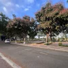 BÁN LÔ BIỆT THỰ LỚN KHU K1 2 MẶT ĐƯỜNG ĐỐI DIỆN CÔNG VIÊN PHƯỜNG PHAN RANG NAM KHÁNH HOÀ