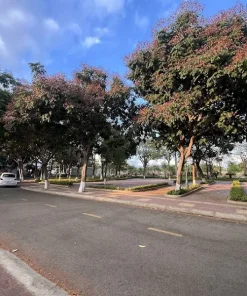 BÁN LÔ BIỆT THỰ LỚN KHU K1 2 MẶT ĐƯỜNG ĐỐI DIỆN CÔNG VIÊN PHƯỜNG PHAN RANG NAM KHÁNH HOÀ