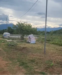 Alternative view of Cần bán farm 3,3ha tại Bác Ái ngay Cầu Sông Cái chỉ 200tr/ sào